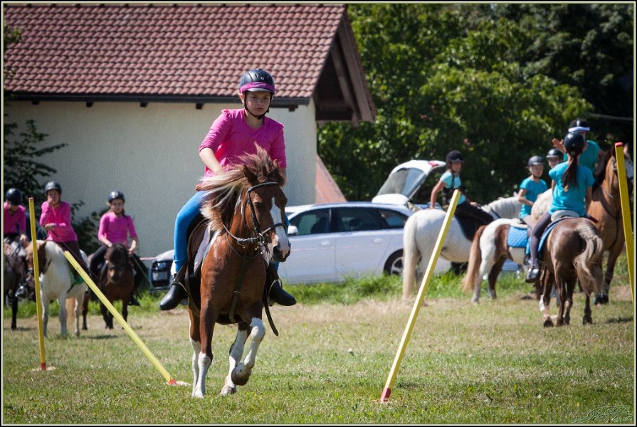Mounted Games 095